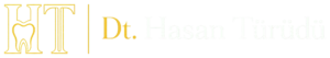 ht header logo final